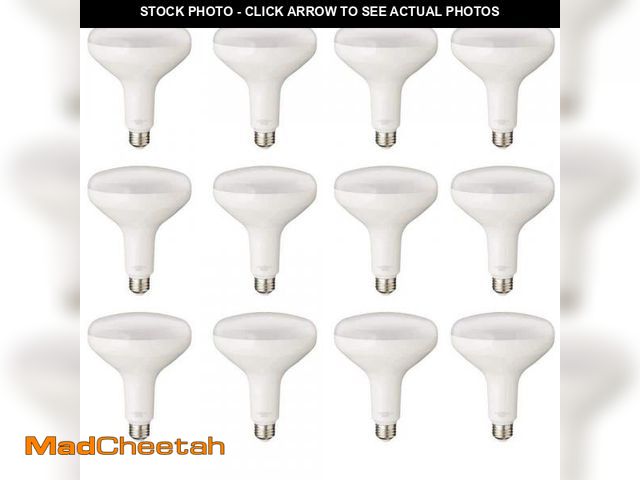 Lot 74-12531703 - PRIVATE BRAND UNBRANDED 75-Watt Equivalent BR40 Dimmable LED Light Bulb Soft White (12-Pack) - UNUSE...