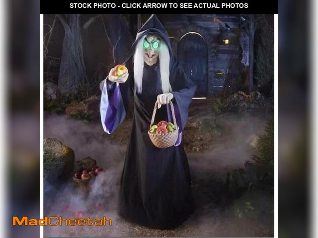 Lot 74-12900703 - Disney 5.5ft Animated LED Evil Queen - UNUSED