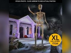 Lot 74-12811263 - undefined