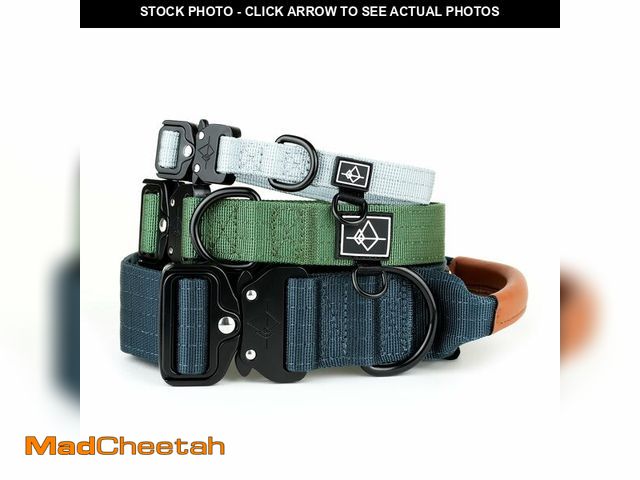 Lot 74-14428984 - MADE TO ROAM Control Dog Collar | Leather Handle &amp; Heavy Duty Metal Buckle - USED
