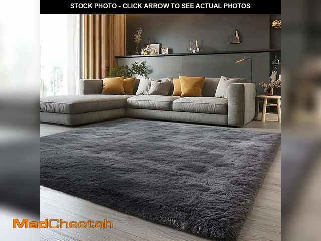 Lot 74-12669961 - Pentantan Shag Area Rugs, 5ft x 8ft Soft Fluffy Indoor Carpet for Living Room Bedroom Decor, Dark Gr...