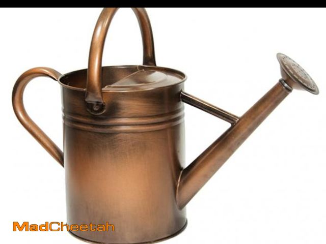 Lot 74-12053508 - yourjoy Galvanized Metal Watering Can, One Gallon Watering Cans for Outdoor Indoor Garden Plants Wat...
