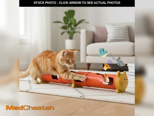 Lot 74-14383927 - PAWSPIK Electric Feather Teaser Tube Cat Toy, Interactive Automatic Cat Toy - USED