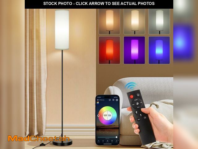 Lot 74-14208805 - FRIDEKO HOME Floor Lamp, Color Changing Ambient Lighting for Living Room &amp; Gaming Decor, Smart S...