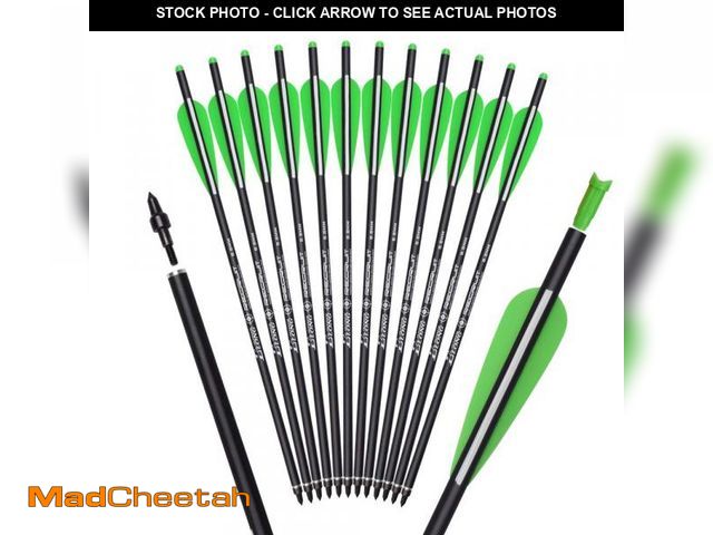 Lot 74-12305265 - Crossbow Bolts Carbon Arrows 16 Inch Hunting Archery Bio Crossbow Arrows with Moon Nocks 100 Grain R...