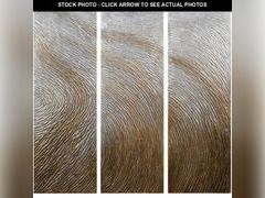 Lot 74-12664285 - undefined