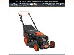 Lot 74-12775081 - undefined