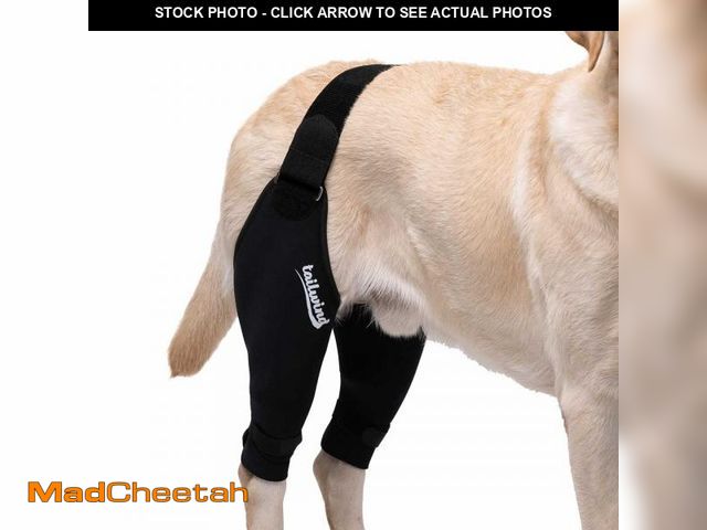 Lot 74-12439149 - Marnonsis Dog Leg Braces for Back Leg, Adjustable Dog Knee Brace for Torn Acl Hind Leg with 4 Stabil...