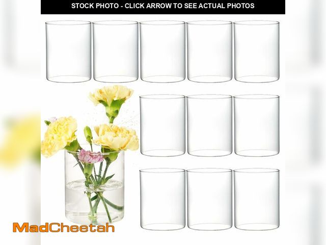 Lot 74-14207948 - DNANAOL 12pcs Glass Cylinder Vases for Centerpieces - 4 inch Clear Glass Flowers Vases Bulk, Hurrica...