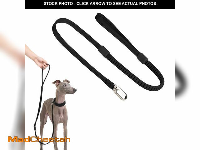 Lot 74-14265457 - BuddyArmor Ultra Comfort Dog Leash Soft Padded Comfortable Handle Alloy Clip Shock Absorbing Bungee ...