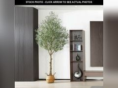 Lot 74-13040518 - undefined