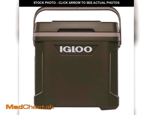 Lot 74-12584811 - *SCRATCHED* IGLOO Sportsman Green 30 qt Cooler *SCRATCHED*  - USED