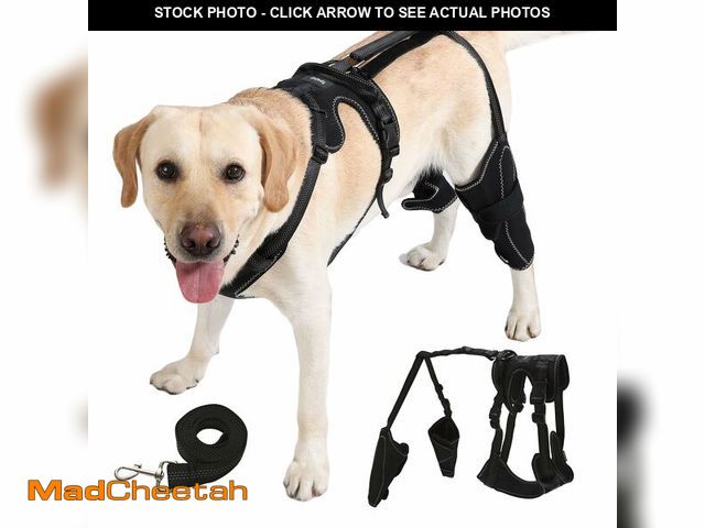 Lot 74-14064828 - Spajoy Dog Knee Brace with Adjustable Support Acl Hind Leg for Support with Cruciate Ligament Injury...