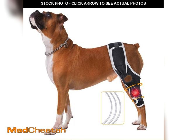 Lot 74-11559192 - XUVIRA Dog Leg Brace for Cruciate Ligament Injuries, for Joint Wounds, Recovery After Surgery, Upgra...