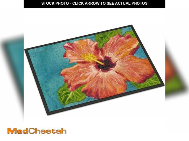 Lot 74-12828748 - Caroline's Treasures TMTR0316JMAT Coral Hibiscus by Malenda Trick Doormat 24x36 Front Door Mat Indoo...