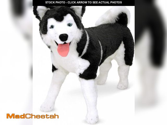 Lot 74-12137119 - Melissa &amp; Doug Giant Siberian Husky - Lifelike Stuffed Animal Dog (Over 2 feet Tall) - UNUSED