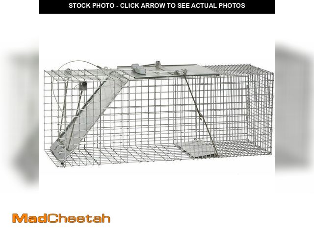 Lot 74-14581872 - Havahart 1085 Large 1-Door Easy Set Humane Live Animal Trap for Armadillos, Cats, Groundhogs, Muskra...
