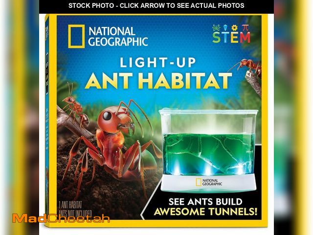 Lot 74-12844534 - National Geographic Ant Habitat Kit - Light-Up Ant Terrarium with Built-in Magnifiers, Tunnel Starte...
