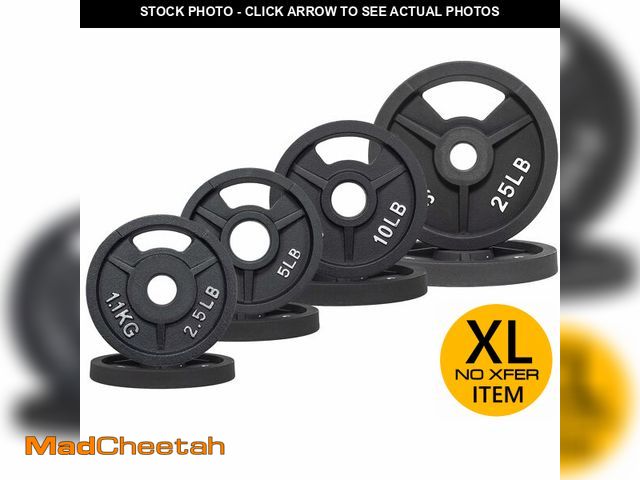 Lot 74-12693511 - Fitvids Olympic Cast Iron 2-Inch Weight Plates for Strength Training &amp; Weightlifting, 85 Pounds ...