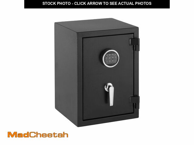 Lot 74-12689483 - Basics Fire Resistant Security Safe with Programmable Electronic Keypad, Secure Valuables and Import...