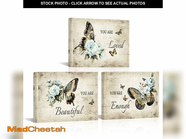 Lot 74-13566943 - Biuteawal 3 Piece Vintage Butterfly Wall Art Motivational Quote Picture Poster Prints with Floral Pa...