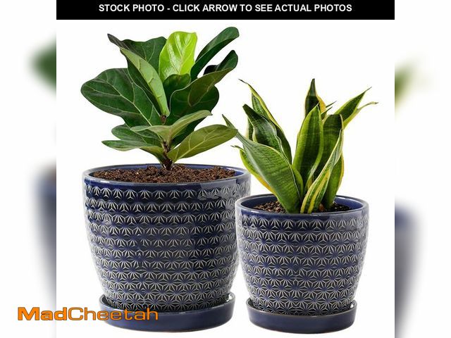 Lot 74-14214023 - Swkien Plant Pots, Planters for Indoor Plants, Ceramic Plant Pots, 6.5+5.5 inch Plant Pot with Drain...