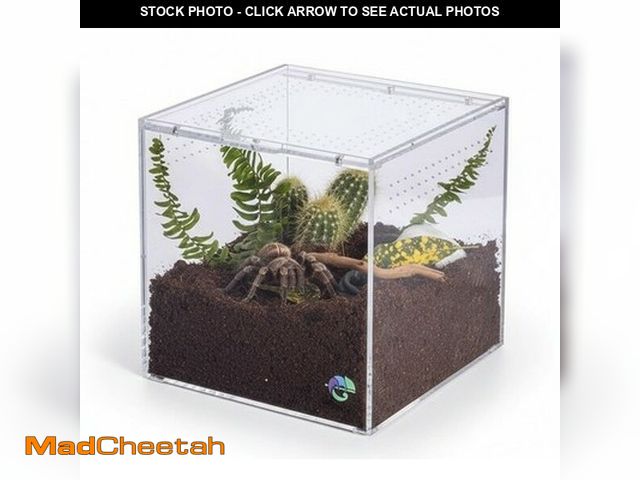 Lot 74-14080881 - EctoTherm Terrestrial Terrarium - Tarantula Enclosure, Medium (8"x8"x8") - UNUSED