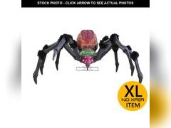 Lot 74-12810831 - undefined