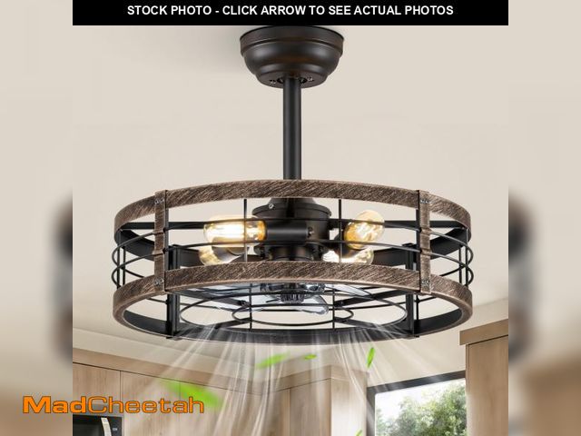 Lot 74-12050430 - LEDIARY 20 Inch Fandelier Caged Ceiling Fan with Light, Bladeless Ceiling Fan with Remote, Small Far...