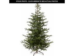 Lot 74-13581851 - undefined