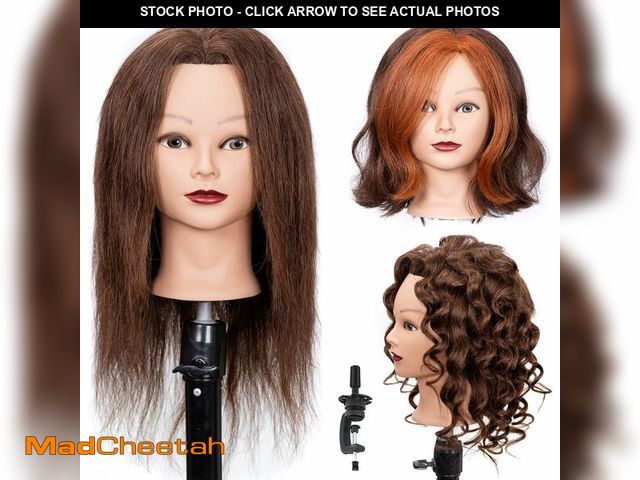 Lot 74-13630354 - Stancia Mannequin Head with 100% Human Hair for Cosmetology Training, 20-22Ã¢â¬â¢Ã¢â¬â¢ Real Nat...