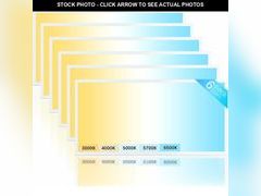 Lot 74-13070834 - undefined