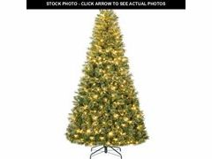 Lot 74-12724152 - undefined