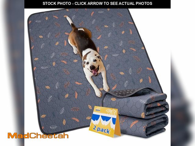 Lot 74-13630481 - Sunheir Washable Pee Pads for Dogs Large 48" x 48" 2-Pack Reusable Puppy Pads Pet Training Pads, Abs...