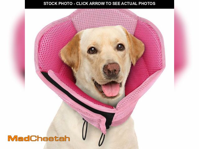 Lot 74-13566197 - AOFITEE Dog Cone - Soft Cone for Dogs After Surgery, Comfy Cones for Large Dogs to Stop Licking, Adj...