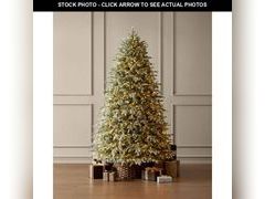 Lot 74-12771894 - undefined