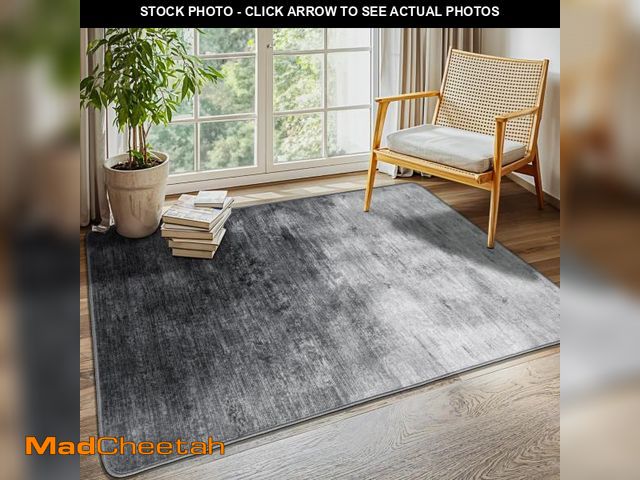 Lot 74-12438619 - LIANLAM Washable Rug 4x6 Area Rugs for Living Room - Stain Resistant Non-Slip Backing Boho Rug for B...