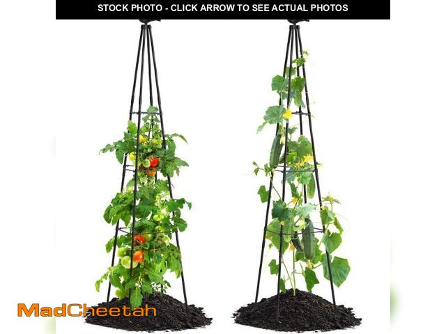 Lot 74-12436089 - FOLLOOK Cucumber Trellis, 67" Tall Obelisk Garden Trellis for Climbing Plants Outdoor Plastic-Coated...