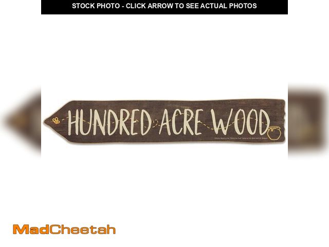 Lot 74-14146593 - Disney Winnie the Pooh Hundred Acre Wood Arrow Wall Decor - Cute Winnie the Pooh Decoration - USED