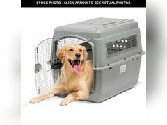 Lot 74-13419098 - undefined