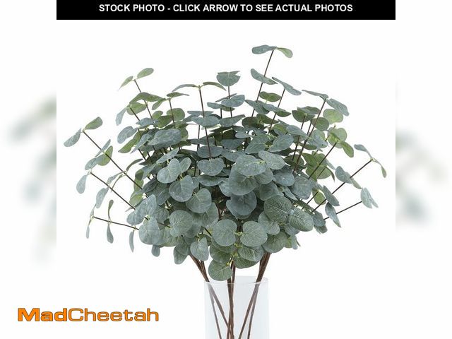 Lot 74-14336362 - Lcuasc 5pcs Artificial Eucalyptus Stems, Faux Silk Silver Dollars Eucalyptus Stems Fake Greenery Pla...