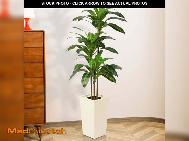 Lot 74-14607632 - HiPlants 5 FT Artificial Dracaena Plant? Faux Dracaena Tree in White Taper Planter with River Rock, ...