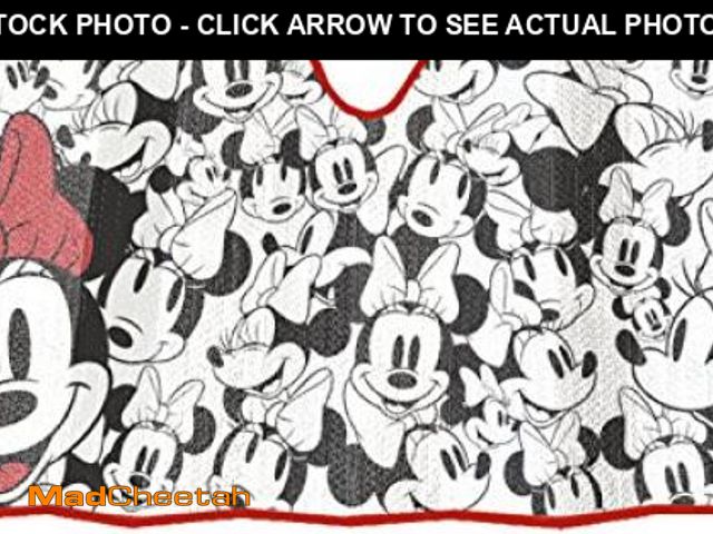 Lot 74-12367736 - Plasticolor 003786R01 Disney Minnie Mouse Expressions Accordion Bubble Sunshade, 1 Pack - UNUSED