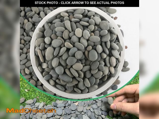 Lot 74-12697698 - 7LB River Rocks Mexican Beach Pebbles for Garden Landscape Plants Paving Grey (1Inch) - USED