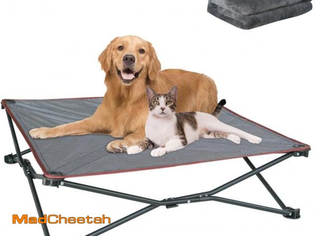 Lot 74-12399407 - unp Foldable Dog Bed Pop up - 36 x 36 x 10 inch Elevated Pet Cot Outdoor Breathable - Removable Plus...