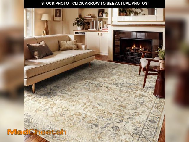 Lot 74-12096047 - Deerly 5x7 Area Rugs for Living Room Washable Traditional Carpet Non Slip Throw Rug Distressed Light...