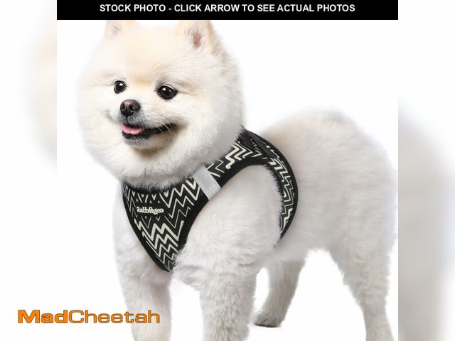 Lot 74-14212838 - rabbitgoo Small Dog Harness, Step-in Easy On Soft Light Puppy Vest with Breathable Mesh for Walking,...