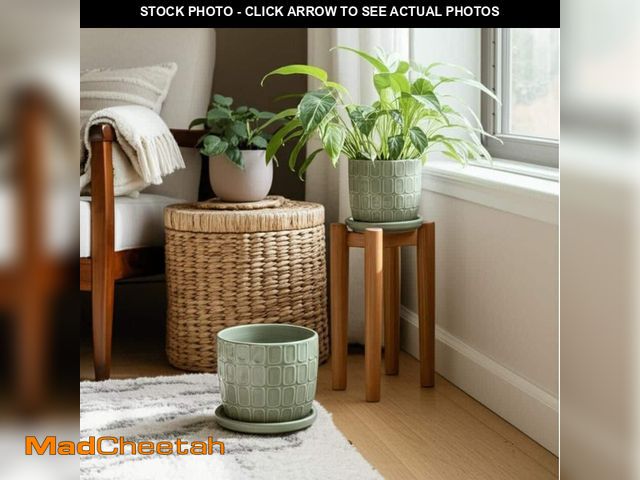 Lot 74-14352435 - Liv &amp; Skye 6 in. and 8 in. Green Ceramic Round Squoval Saucer Decorative Pots (Set of 2) - UNUSE...