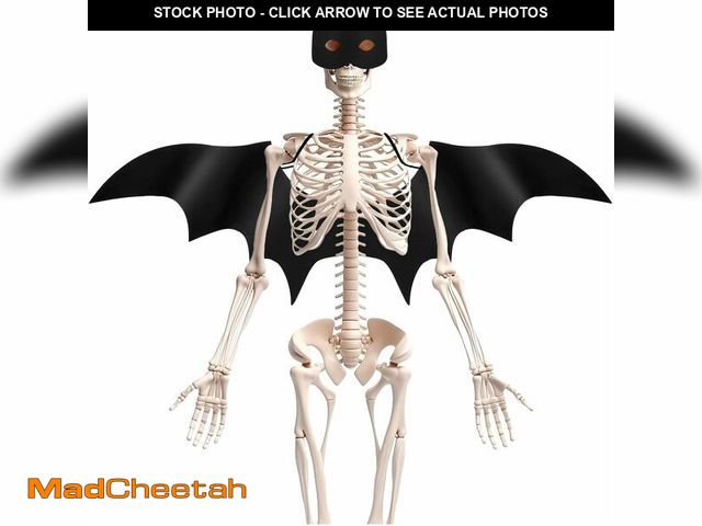 Lot 74-12865003 - Tarpop 2 Pcs Halloween 12 ft Skeleton Outfit Set Giant Skeleton Bat Costume Includes Clothes Bat Win...