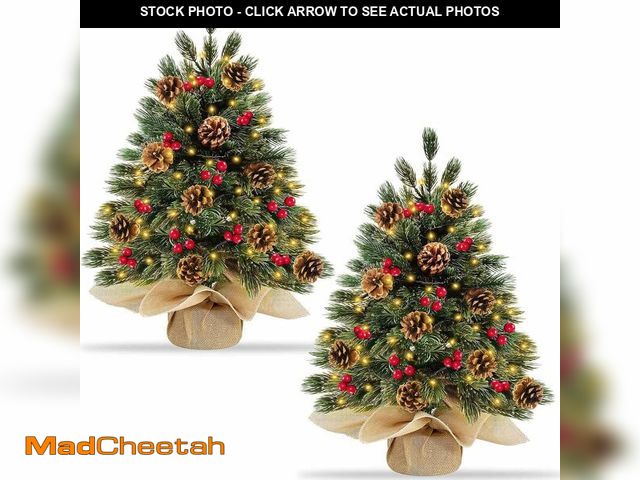 Lot 74-10949525 - Realistic-Feel PE 2 Pack 24''/2FT Small Christmas Tree with 80 Warm Lights Timer Battery Operated Ce...